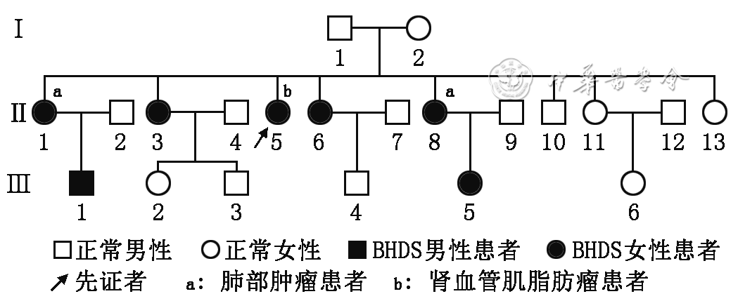 影像PPT - 【病例】Birt-Hogg-Dubé综合征合并肾脏血管平滑肌脂肪瘤1例-3 影像PPT - 【病例】Birt-Hogg-Dubé综合征合并肾脏血管平滑肌脂肪瘤1例-3