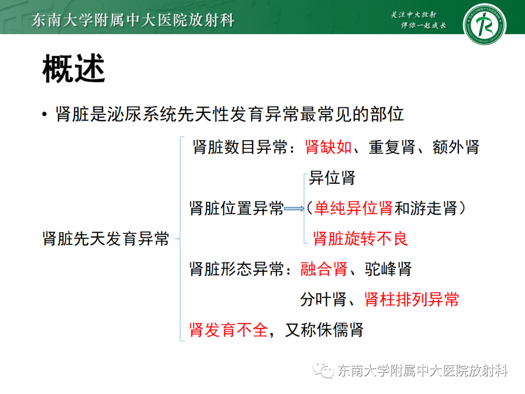 影像PPT - 【PPT】肾脏先天性发育异常-9
