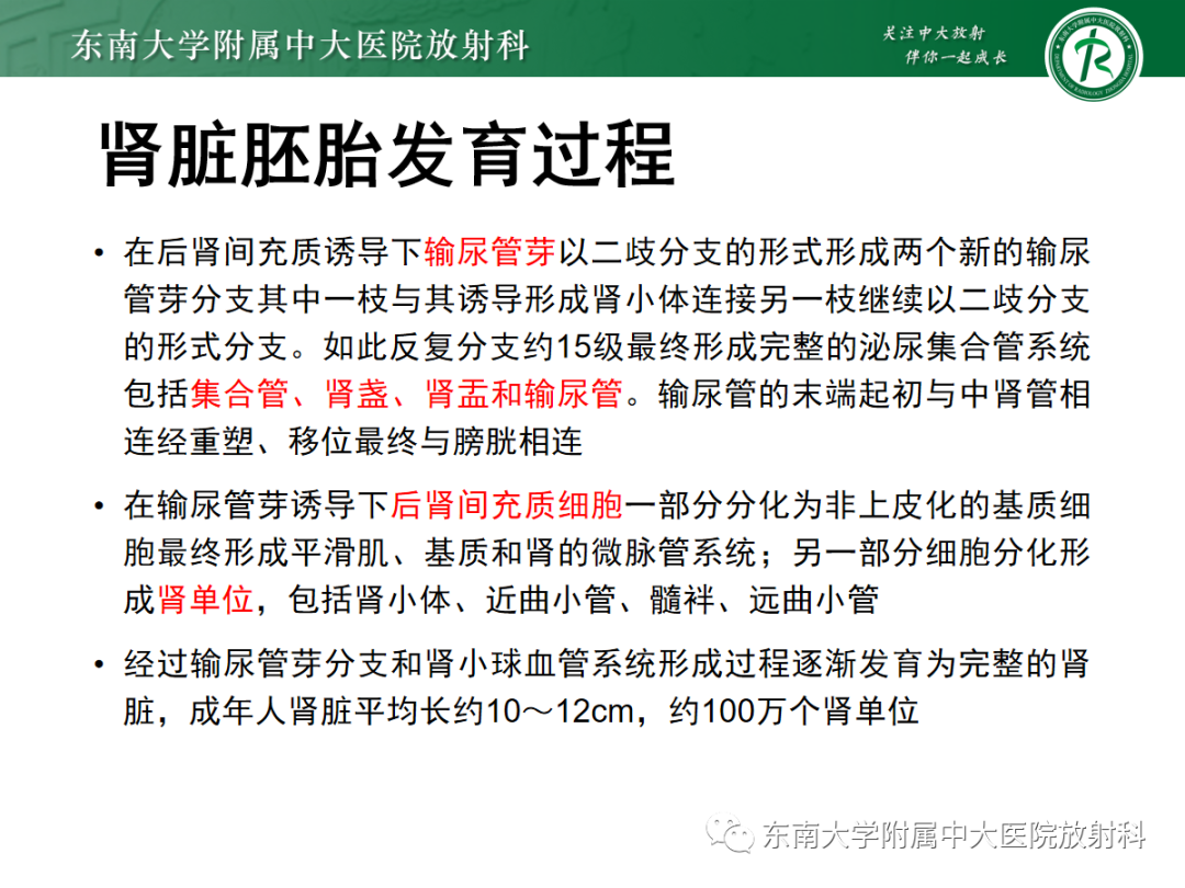 影像PPT - 【PPT】肾脏先天性发育异常-6