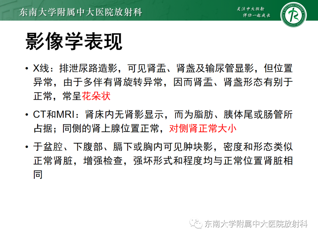 影像PPT - 【PPT】肾脏先天性发育异常-15