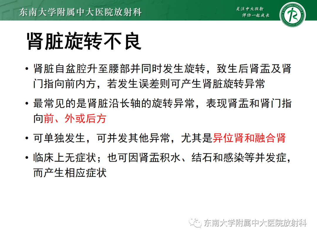影像PPT - 【PPT】肾脏先天性发育异常-19