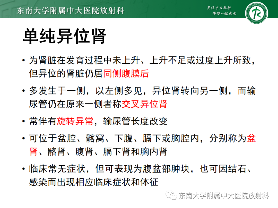 影像PPT - 【PPT】肾脏先天性发育异常-13