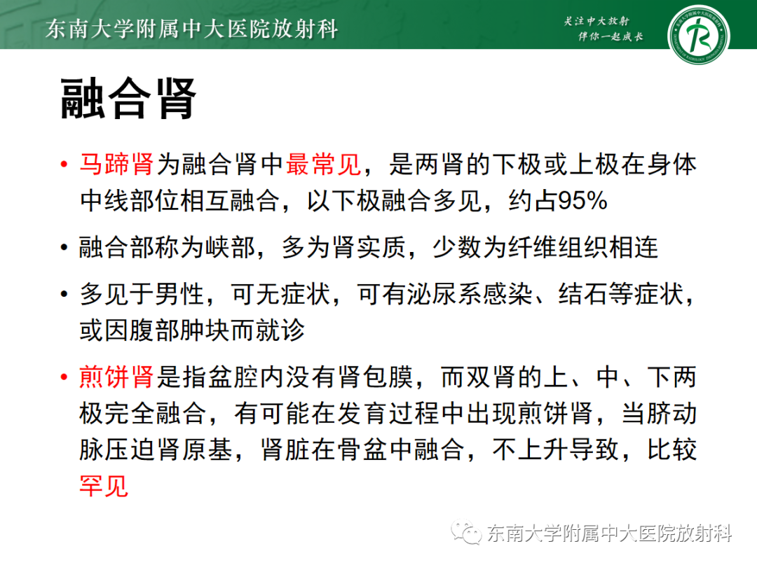 影像PPT - 【PPT】肾脏先天性发育异常-22