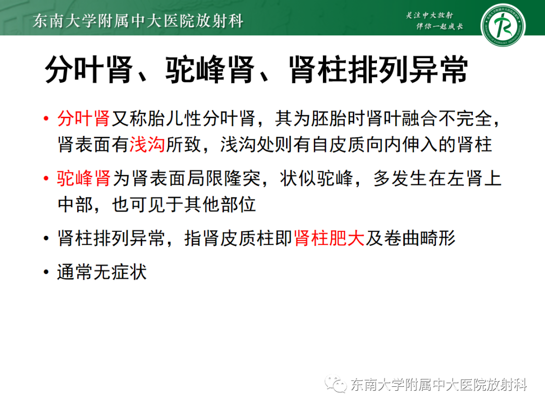 影像PPT - 【PPT】肾脏先天性发育异常-28