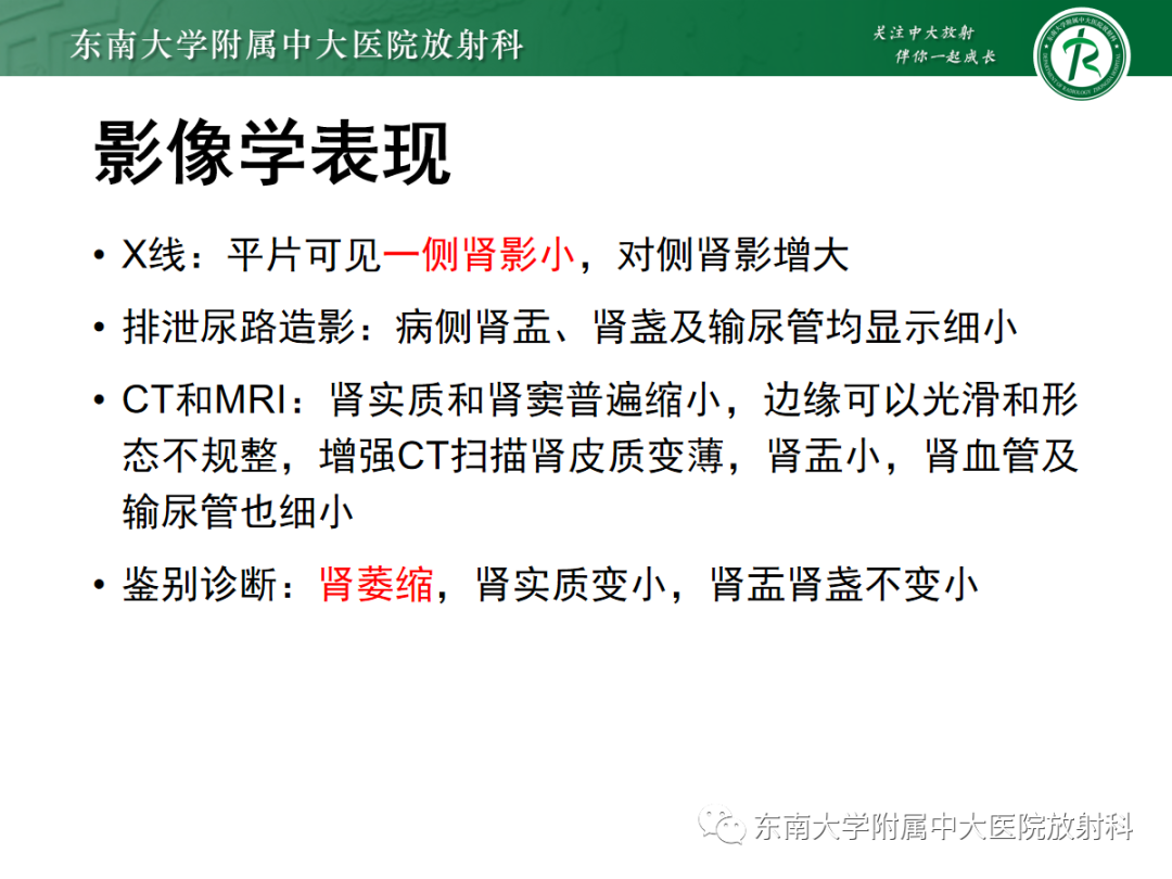 影像PPT - 【PPT】肾脏先天性发育异常-34