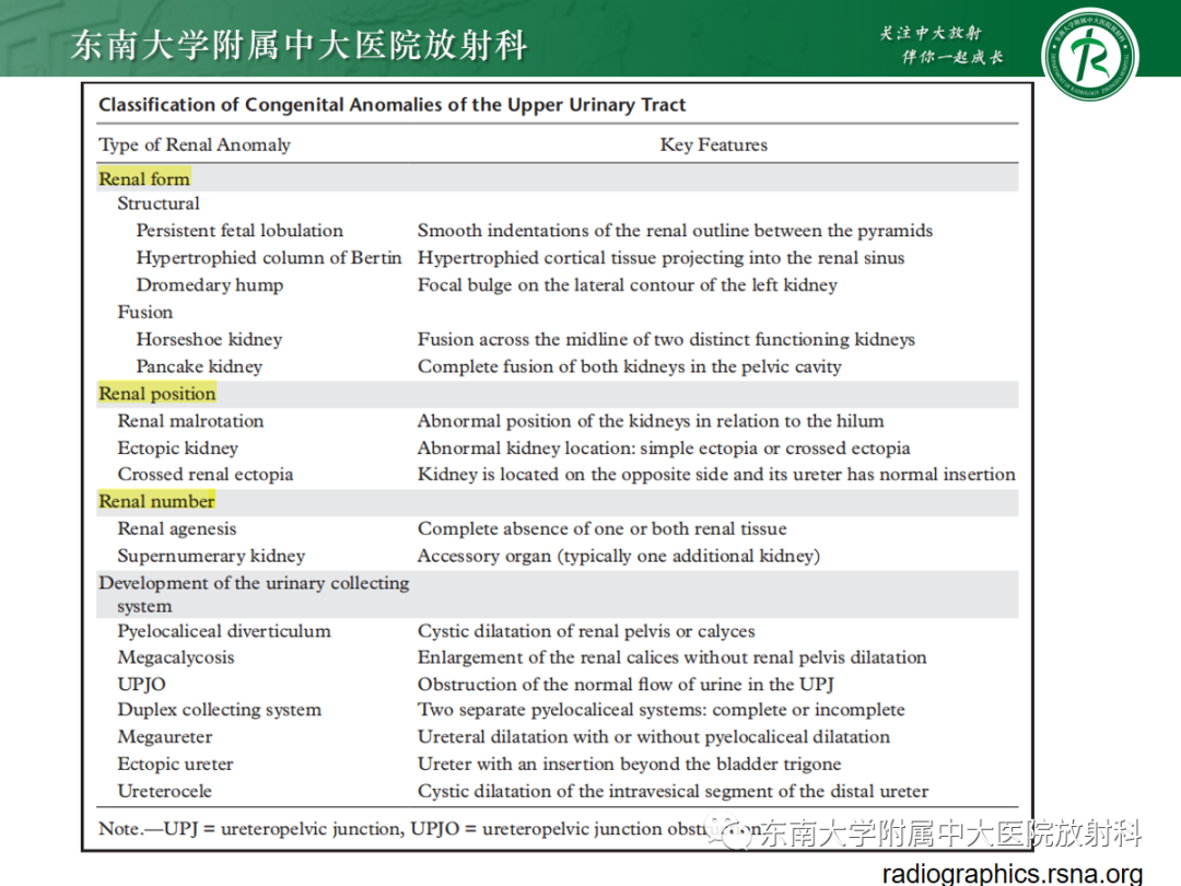 影像PPT - 【PPT】肾脏先天性发育异常-37
