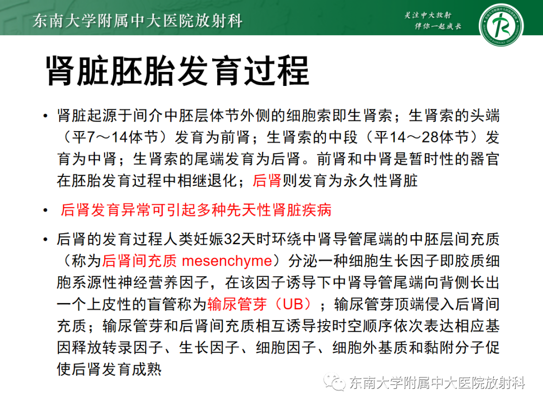 影像PPT - 【PPT】肾脏先天性发育异常-5