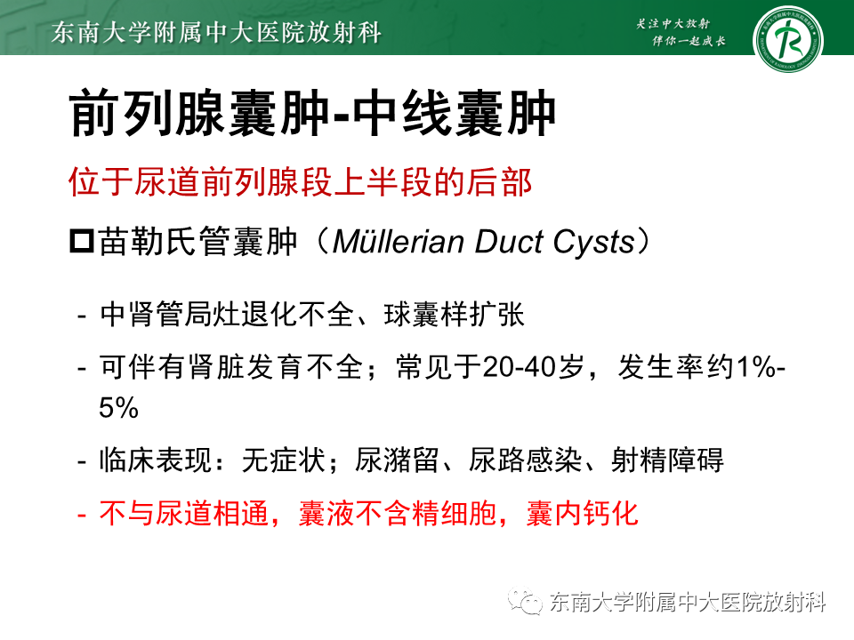 影像PPT - 【PPT】易误诊为前列腺癌的正常结构及良性病变-24