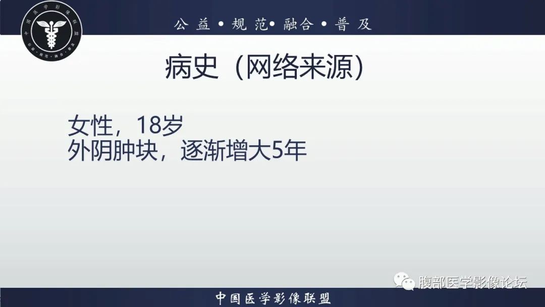 影像PPT - 【病例】外阴脂肪母细胞瘤样肿瘤1例CT及MR影像-2