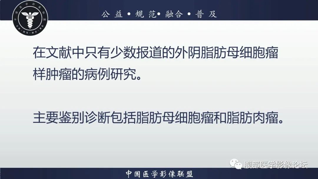 影像PPT - 【病例】外阴脂肪母细胞瘤样肿瘤1例CT及MR影像-17