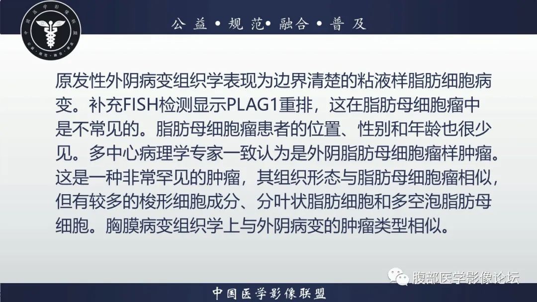 影像PPT - 【病例】外阴脂肪母细胞瘤样肿瘤1例CT及MR影像-16