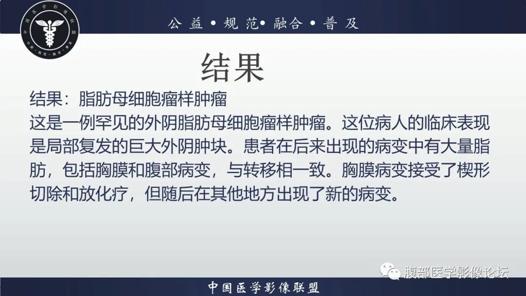 影像PPT - 【病例】外阴脂肪母细胞瘤样肿瘤1例CT及MR影像-15