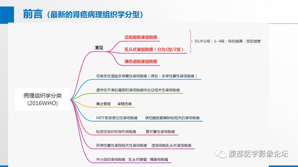 影像PPT - 【PPT】肾癌诊疗指南之诊断篇-2