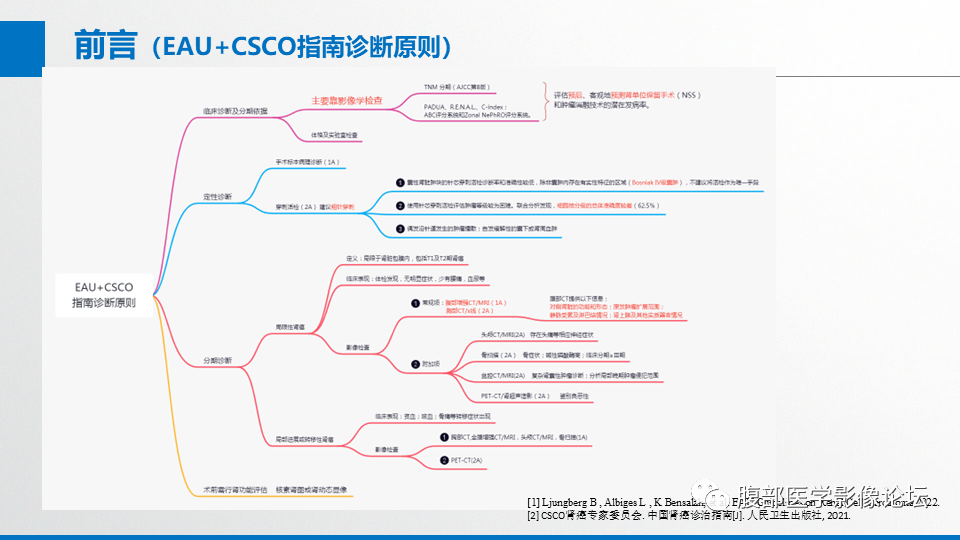 影像PPT - 【PPT】肾癌诊疗指南之诊断篇-3