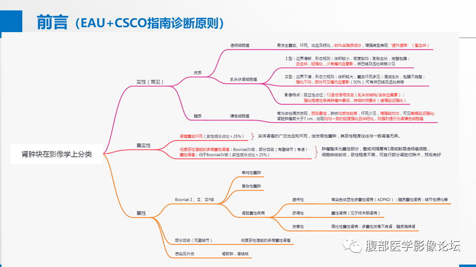 影像PPT - 【PPT】肾癌诊疗指南之诊断篇-4