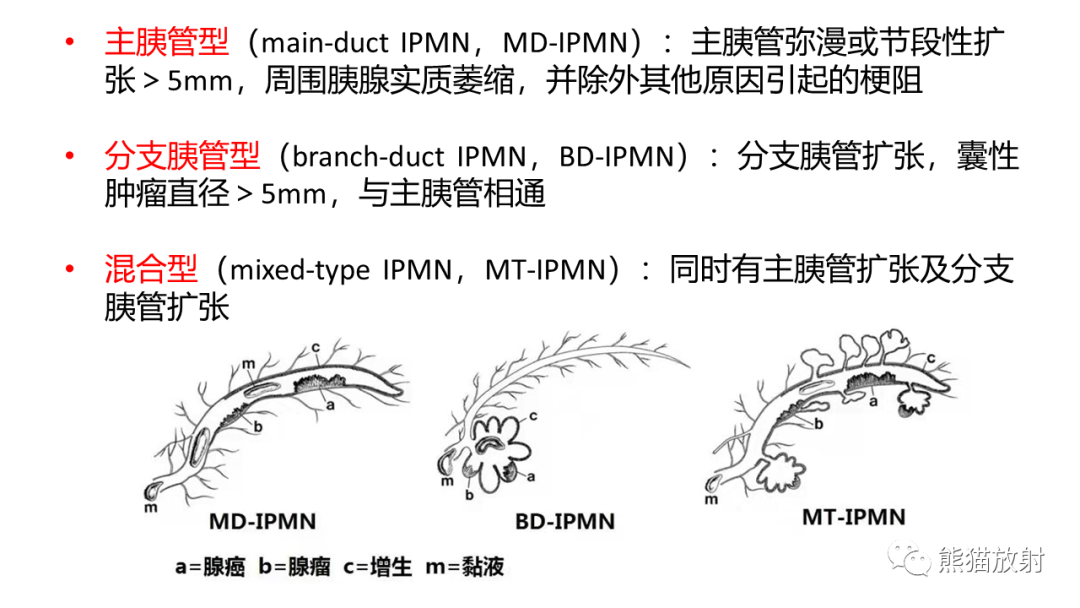 影像PPT - 【病例】粘液性囊腺瘤 VS 导管内乳头状粘液性肿瘤-32