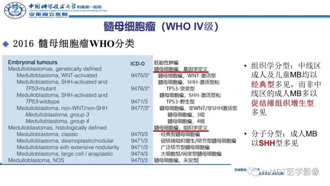 影像PPT - 【PPT】小脑髓母细胞瘤病例解析-27