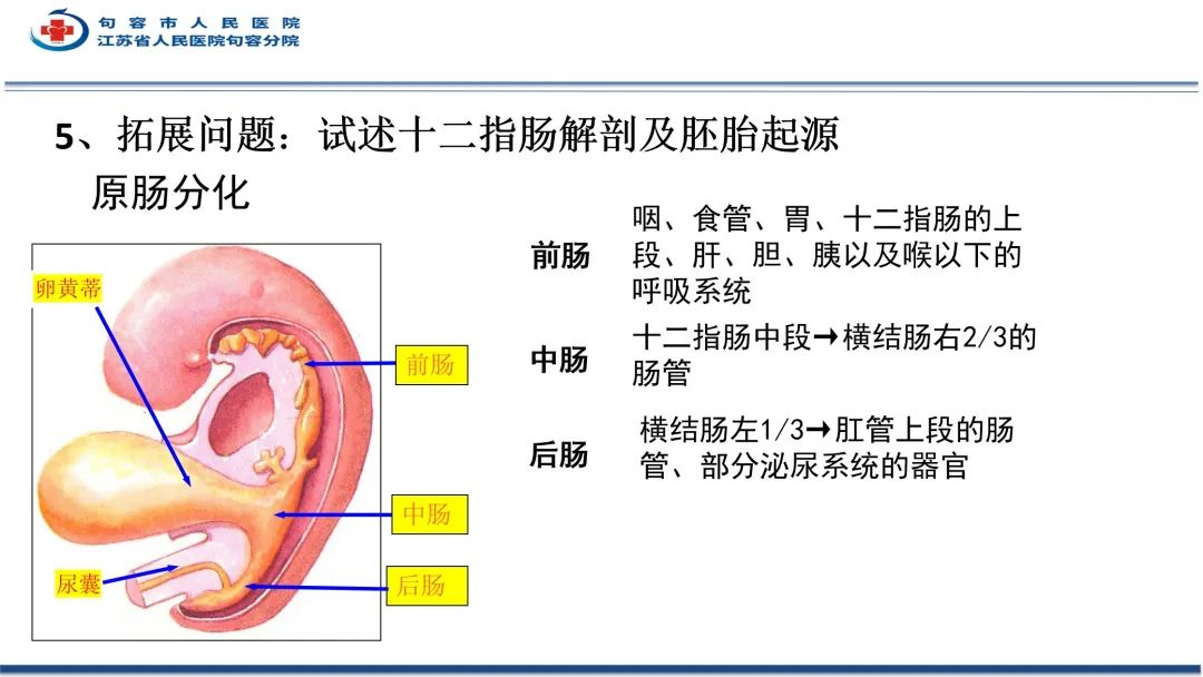 影像PPT - 【PPT】十二指肠血管瘤-21