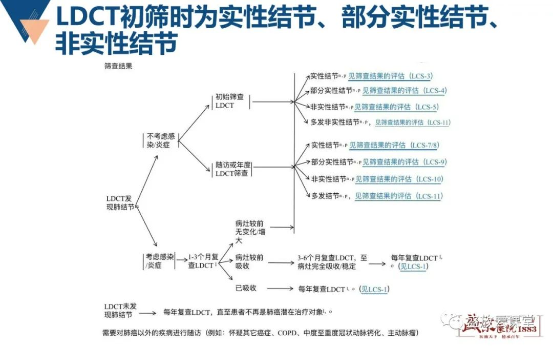 影像PPT - 【PPT】肺磨玻璃结节管理随访-15