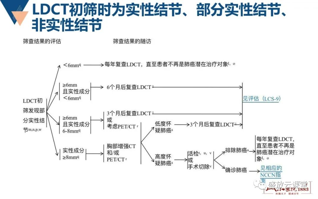 影像PPT - 【PPT】肺磨玻璃结节管理随访-17