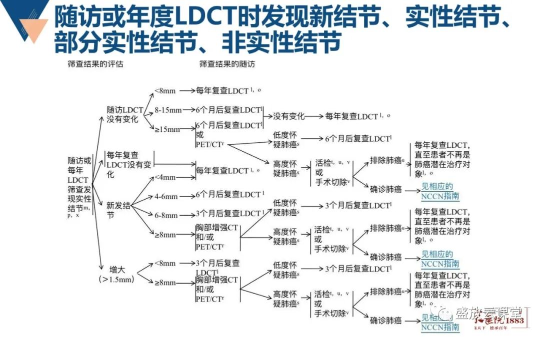 影像PPT - 【PPT】肺磨玻璃结节管理随访-19