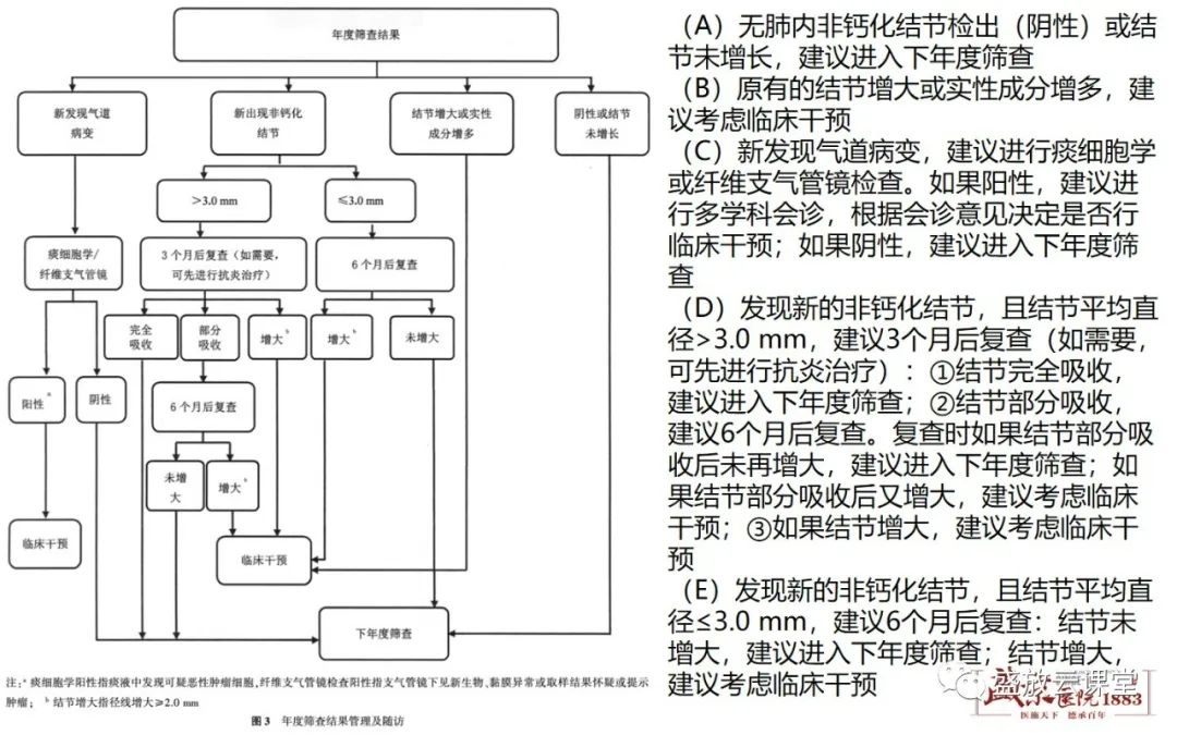 影像PPT - 【PPT】肺磨玻璃结节管理随访-28