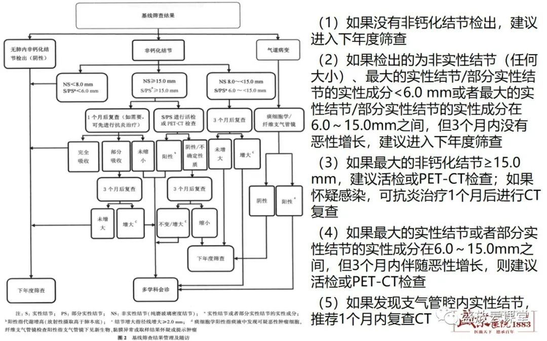 影像PPT - 【PPT】肺磨玻璃结节管理随访-27