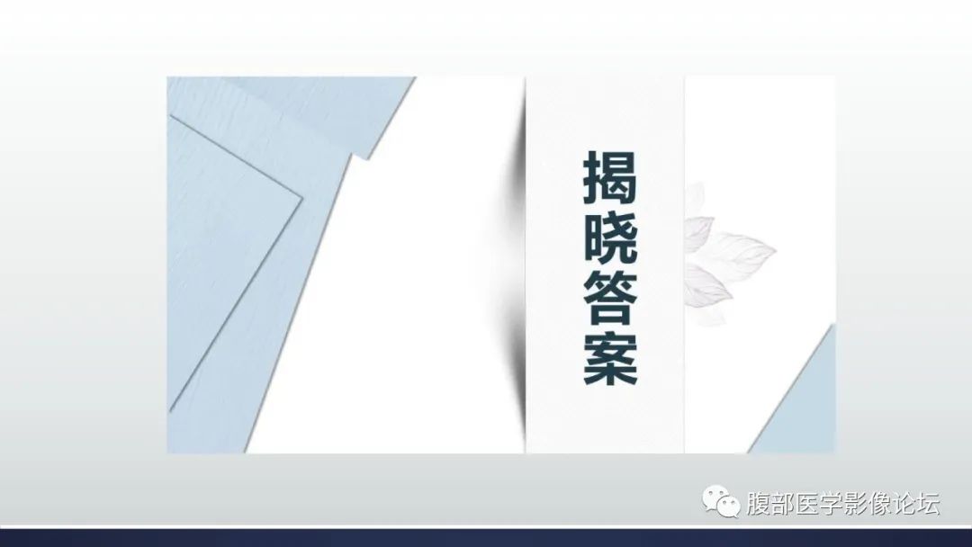 影像PPT - 【病例】卵巢过度刺激综合征1例MR影像-14