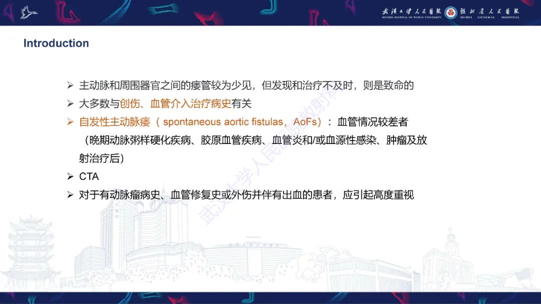 影像PPT - 【PPT】主动脉瘘影像诊断-3