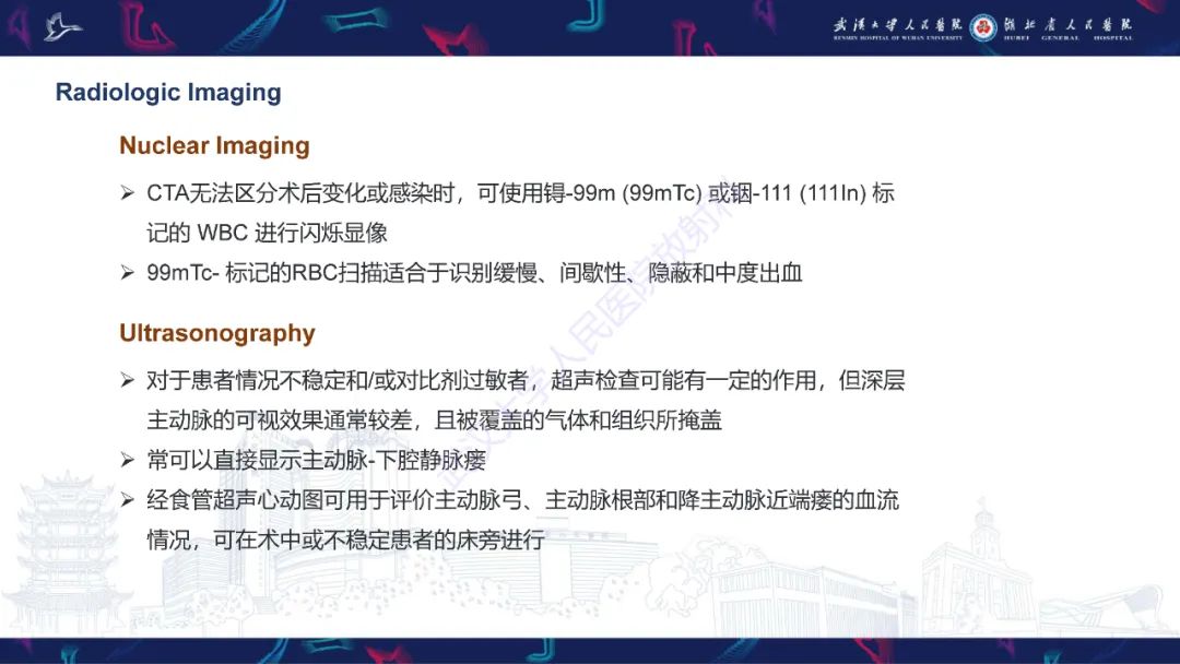 影像PPT - 【PPT】主动脉瘘影像诊断-8