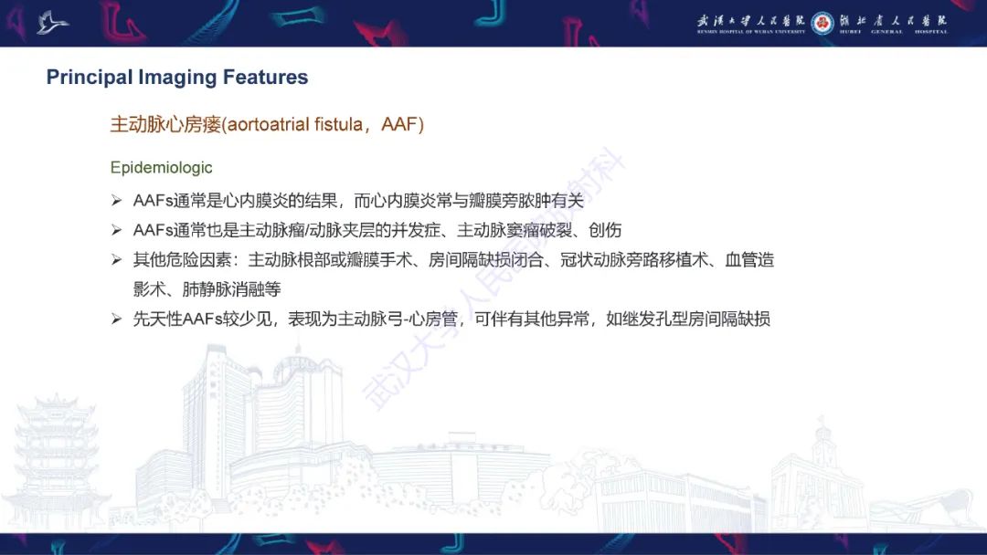 影像PPT - 【PPT】主动脉瘘影像诊断-11