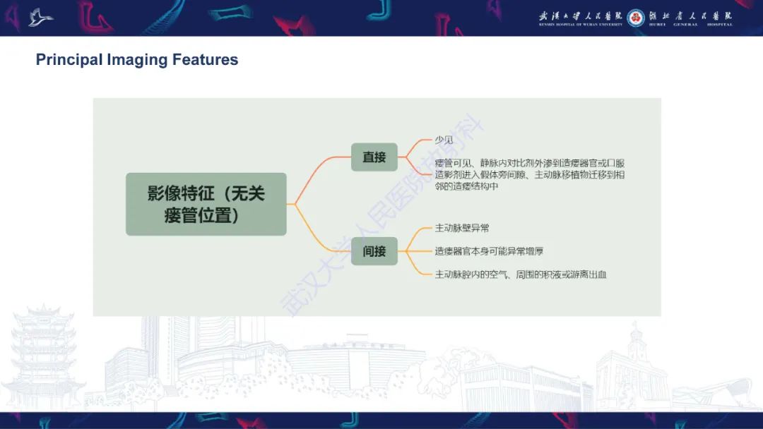 影像PPT - 【PPT】主动脉瘘影像诊断-10