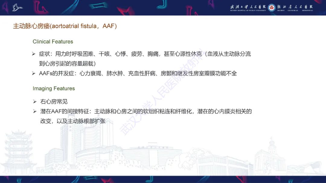 影像PPT - 【PPT】主动脉瘘影像诊断-12