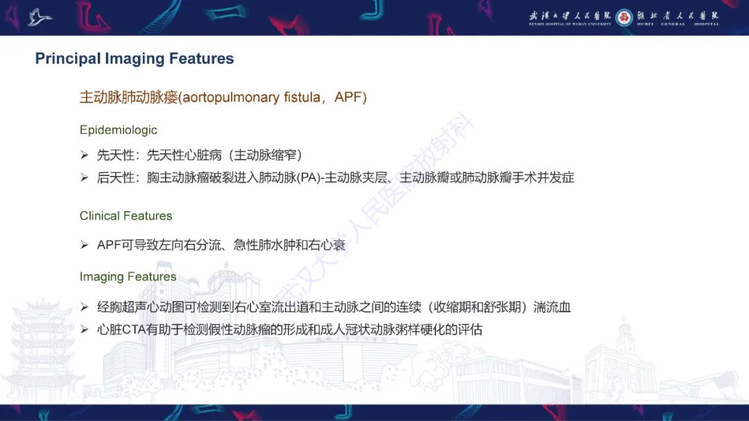 影像PPT - 【PPT】主动脉瘘影像诊断-16