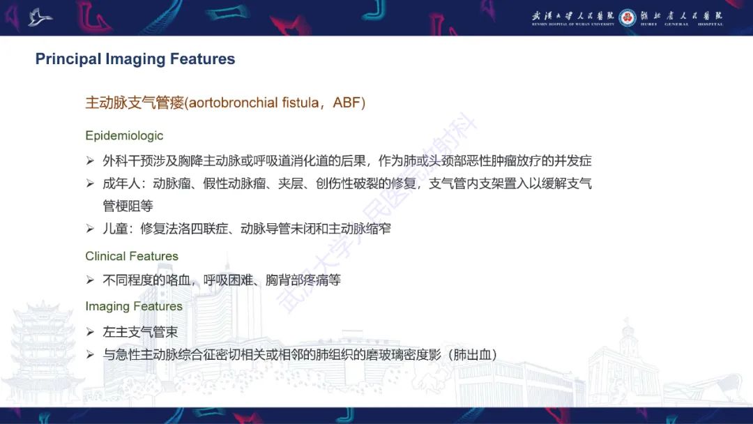 影像PPT - 【PPT】主动脉瘘影像诊断-18