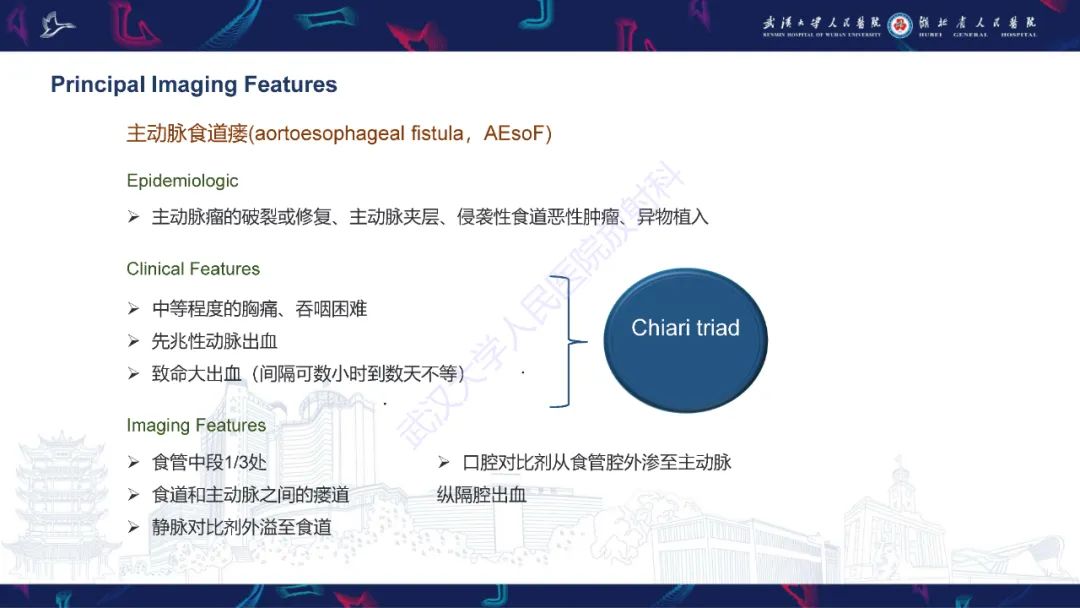 影像PPT - 【PPT】主动脉瘘影像诊断-20