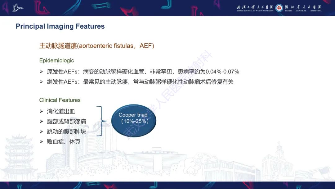 影像PPT - 【PPT】主动脉瘘影像诊断-24