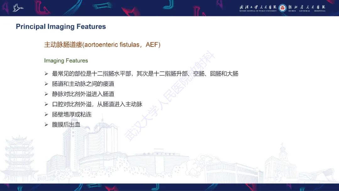 影像PPT - 【PPT】主动脉瘘影像诊断-25
