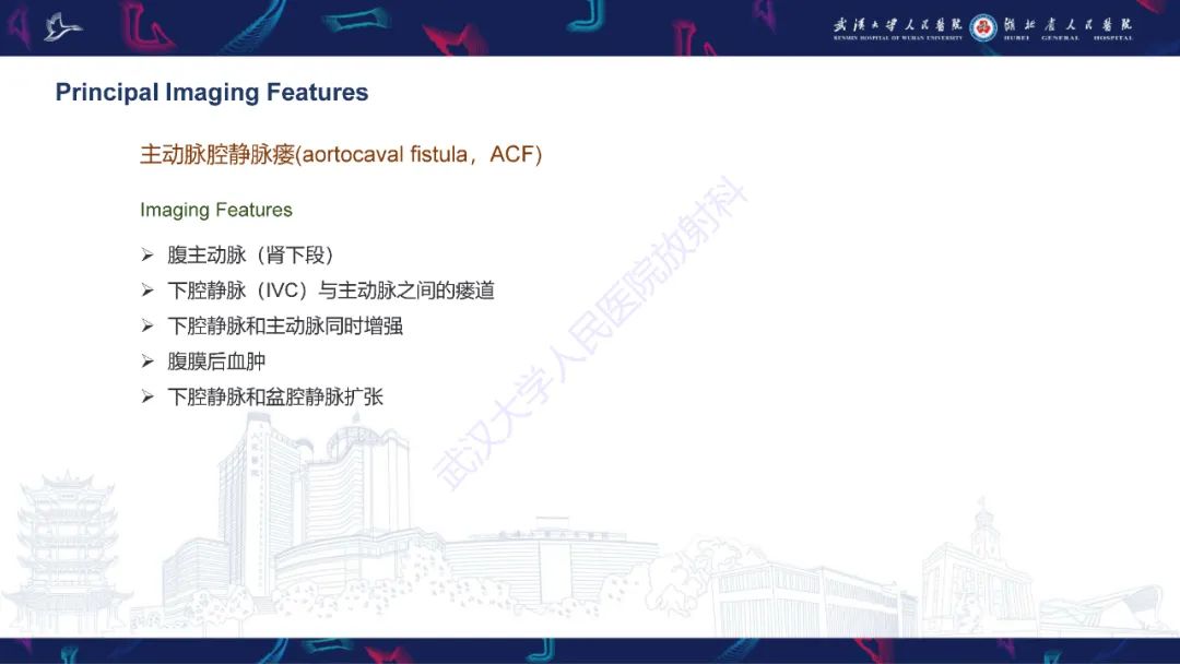 影像PPT - 【PPT】主动脉瘘影像诊断-29
