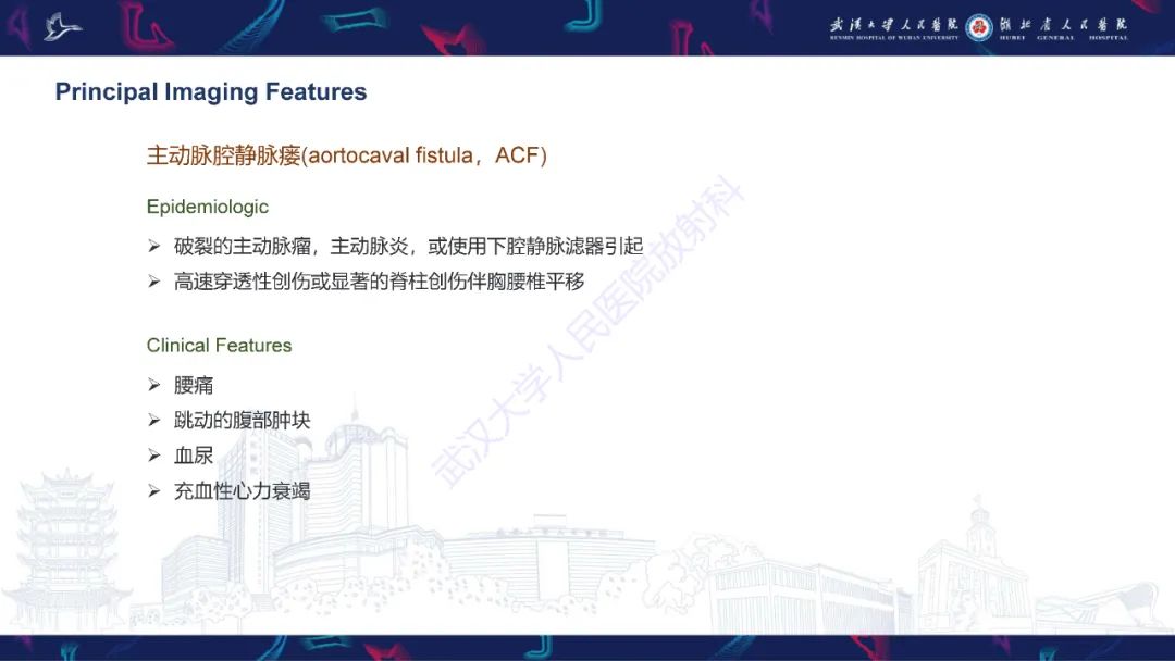 影像PPT - 【PPT】主动脉瘘影像诊断-28