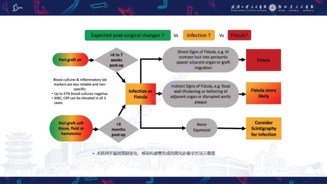影像PPT - 【PPT】主动脉瘘影像诊断-35