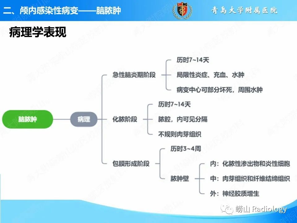 影像PPT - 【PPT】颅内感染性疾病-5