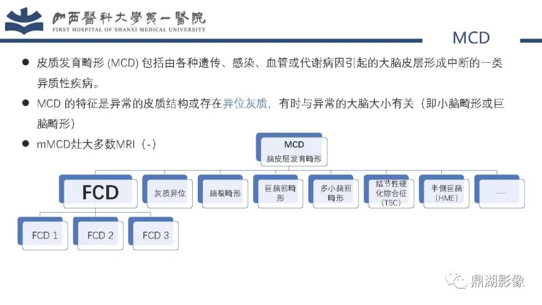 影像PPT - 【PPT】MOGHE的MRI诊断与鉴别诊断-23 影像PPT - 【PPT】MOGHE的MRI诊断与鉴别诊断-23