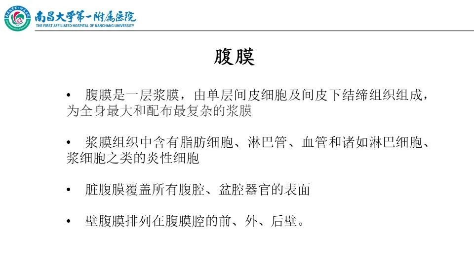 影像PPT - 【PPT】腹膜解剖及常见疾病的影像诊断-3