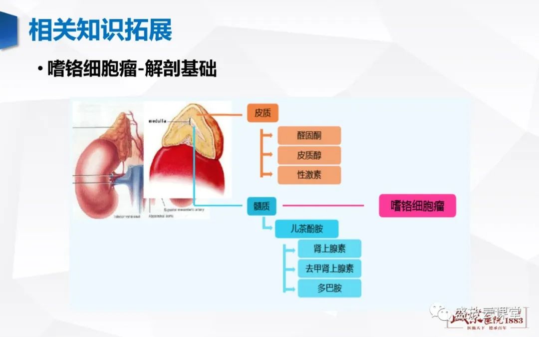 影像PPT - 【病例】肾上腺嗜铬细胞瘤 腹膜后淋巴瘤-15