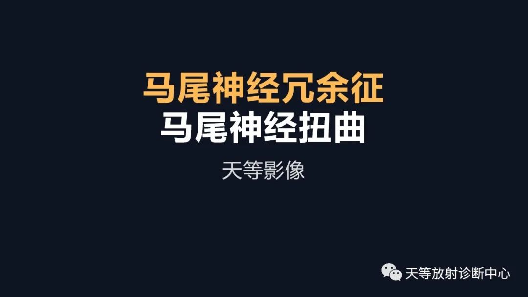 影像PPT - 马尾神经冗余征:马尾神经扭曲-1 影像PPT - 马尾神经冗余征:马尾神经扭曲-1