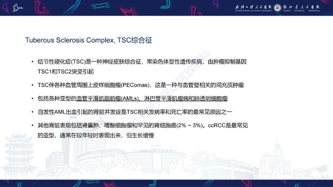 影像PPT - 【PPT】青年人肾脏肿瘤影像诊断-11