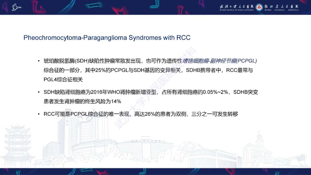 影像PPT - 【PPT】青年人肾脏肿瘤影像诊断-14