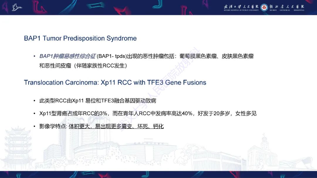 影像PPT - 【PPT】青年人肾脏肿瘤影像诊断-19