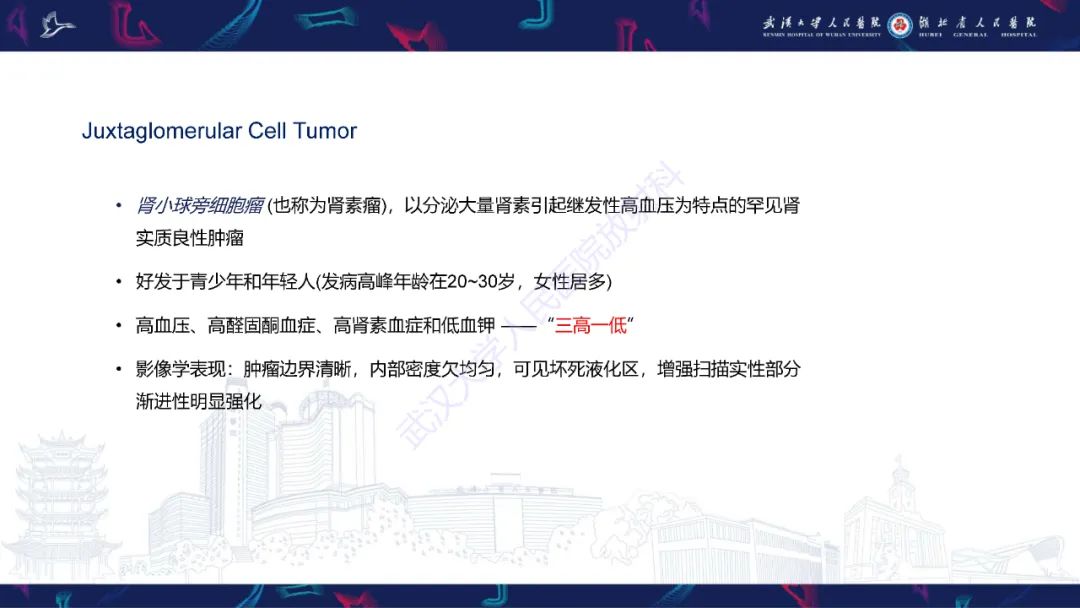 影像PPT - 【PPT】青年人肾脏肿瘤影像诊断-28